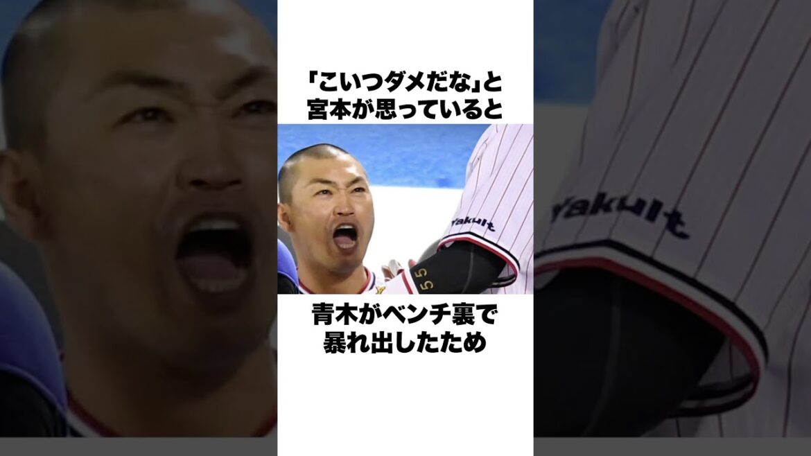 「村上宗隆の怠慢守備を叱責」犬猿の仲の青木宣親と宮本慎也についての雑学#野球 #野球雑学 #東京ヤクルトスワローズ