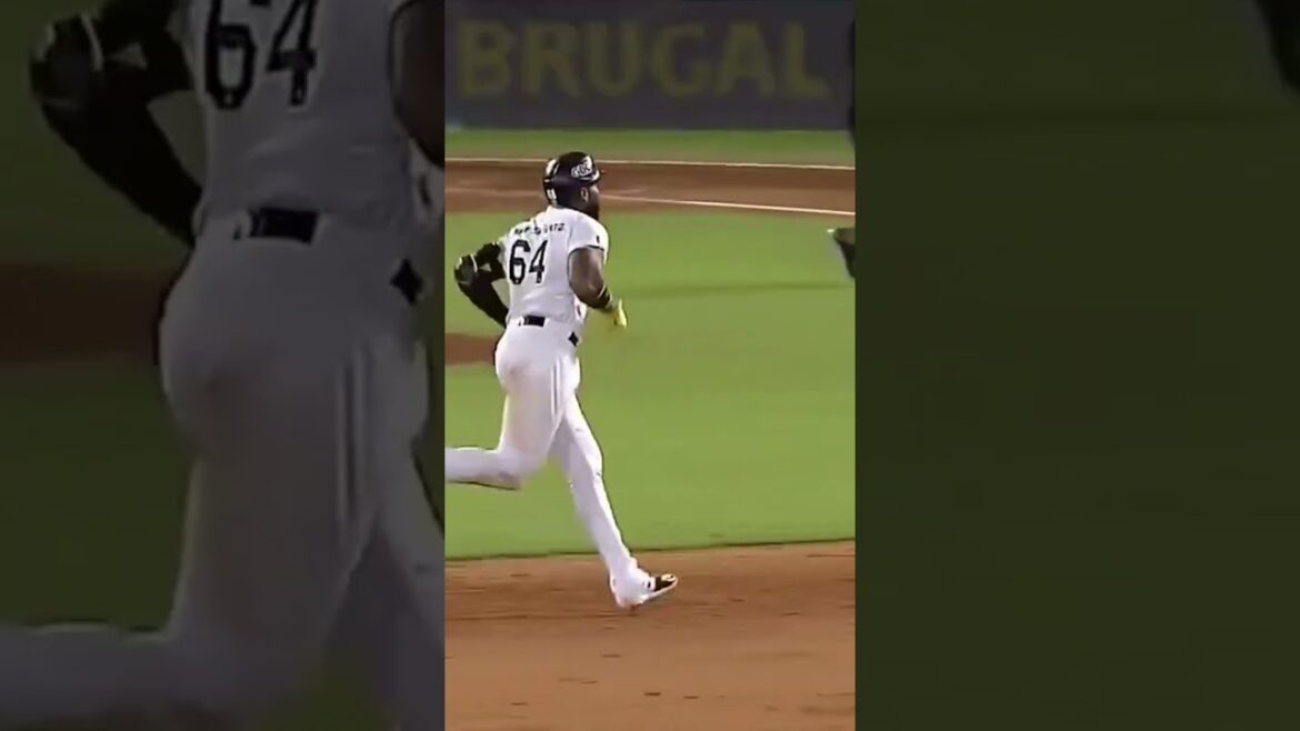 Aderlin Rodríguez se convierte en el líder de jonrones en #lidom