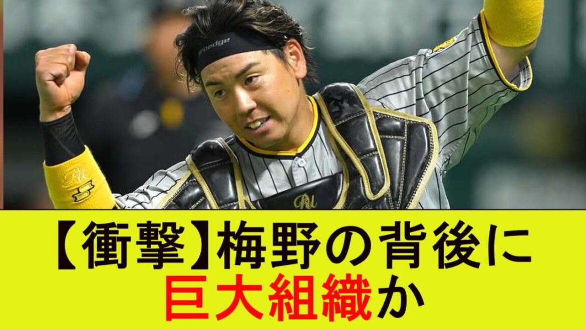 【衝撃】梅野の背後に巨大組織か【なんJ/プロ野球/2ｃｈ/5ｃｈ/反応/まとめ】