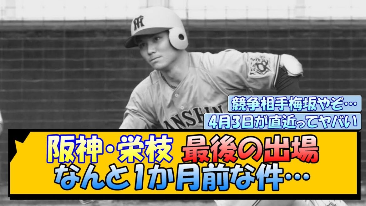 【阪神】栄枝の最後の出場 なんと1か月前な件… 【阪神】栄枝の最後の出場 なんと1か月前な件…