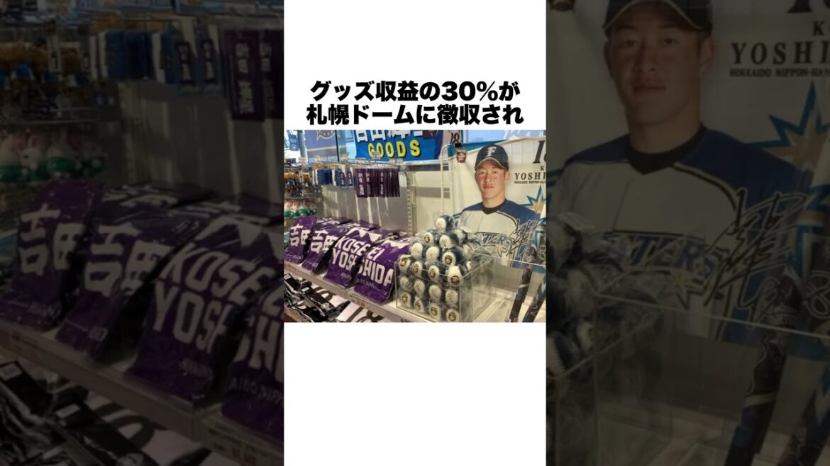 「今年は試合をしません」と日ハムに見捨てられた札幌ドームについての雑学#野球雑学 #野球#日本ハムファイターズ 「今年は試合をしません」と日ハムに見捨てられた札幌ドームについての雑学#野球雑学 #野球#日本ハムファイターズ