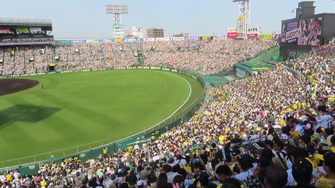 東京ヤクルトスワローズ　甲子園でのラッキー７　20250503