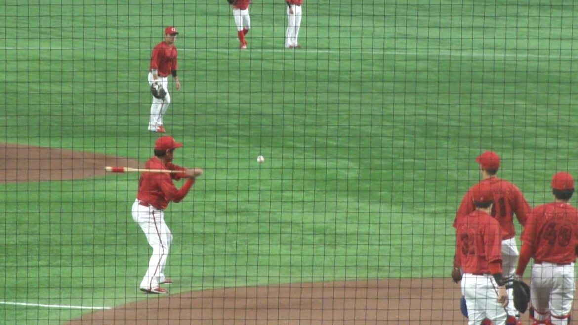 広島東洋カープ 内野席バックネット裏から見た外野守備練習の様子　ノックからのバックホーム　巨人 vs 広島　2025年4月29日(火)　東京ドーム