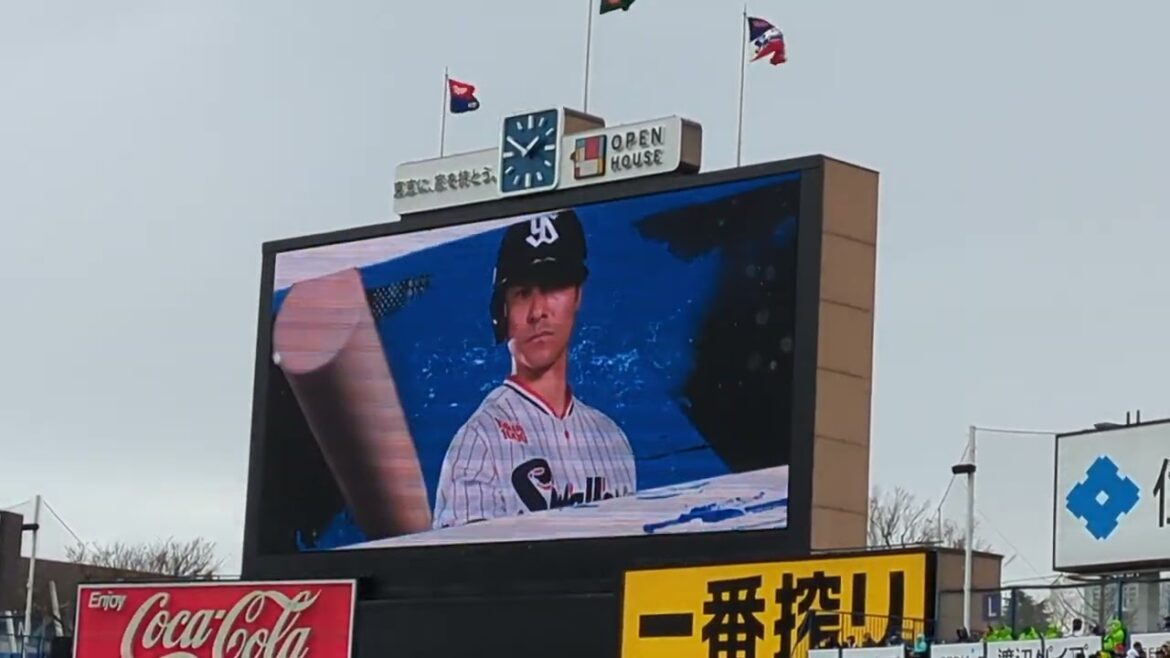 2025 東京ヤクルトスワローズ 茂木栄五郎 登場曲