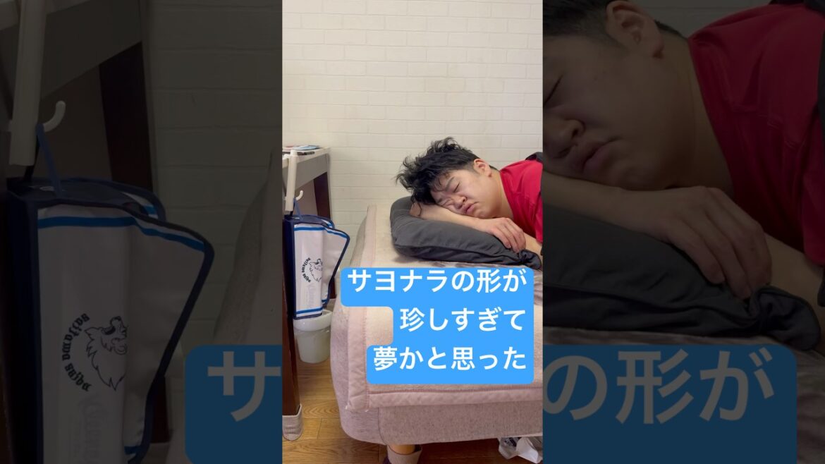 熊代コーチを責めるんじゃなくて仲田と外崎を称えましょうサヨナラ勝ち万歳(2日遅れ) #プロ野球 #野球 #埼玉西武ライオンズ #seibulions #松坂大輔 #shorts