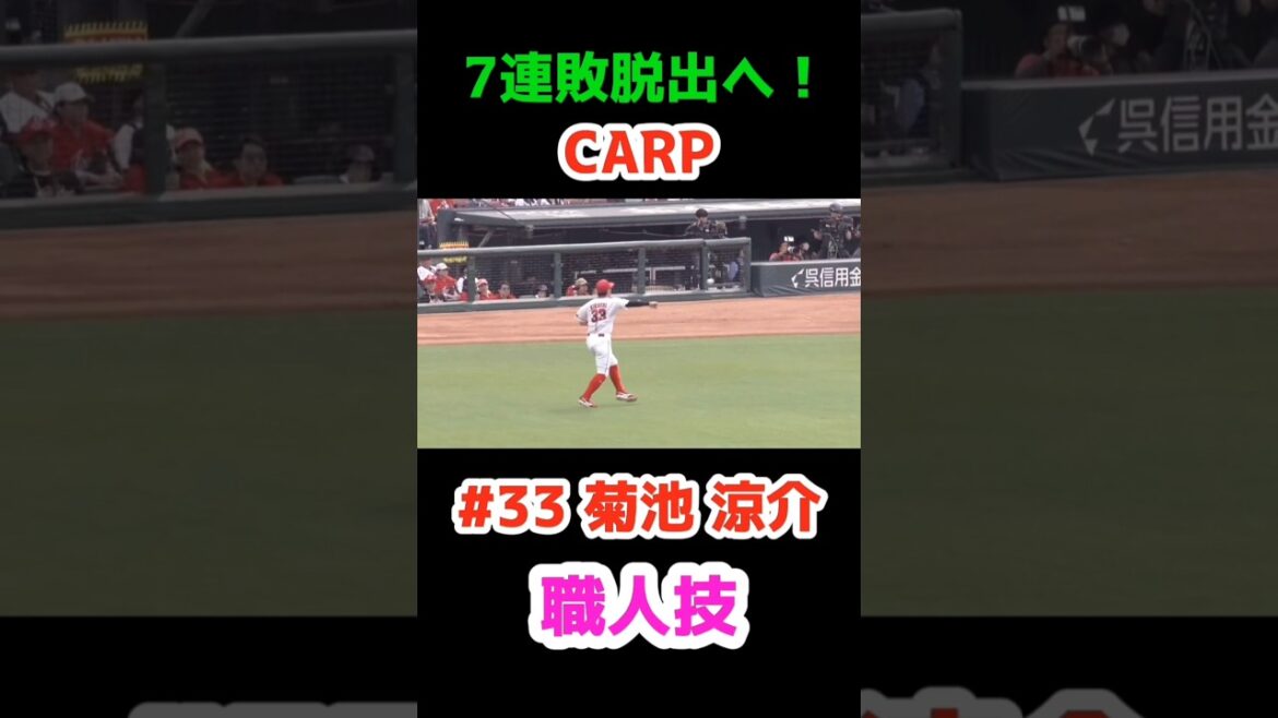 2025/5/3(祝) カープ vs 中日【守備職人】#33菊池涼介 #carp