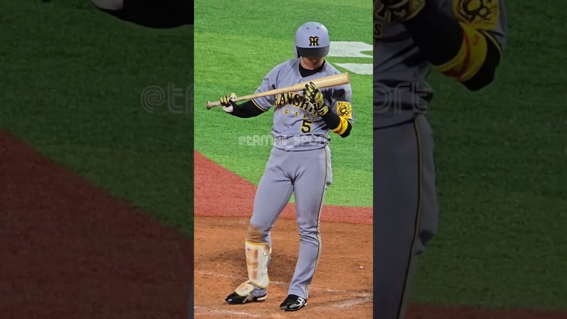 バットにキスをする近本光司選手