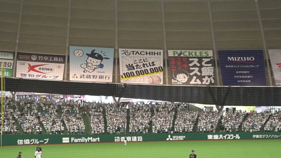 2025 4-27 埼玉西武ライオンズ 長谷川信哉 応援歌 inベルーナドーム