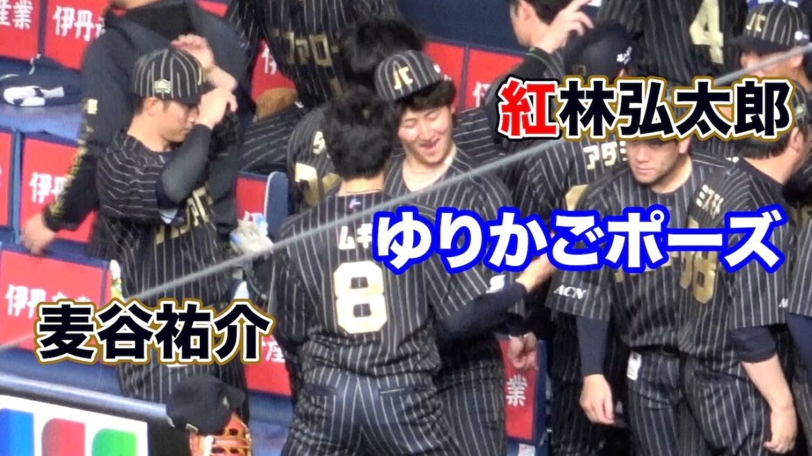 紅林と麦谷によるゆりかごポーズ