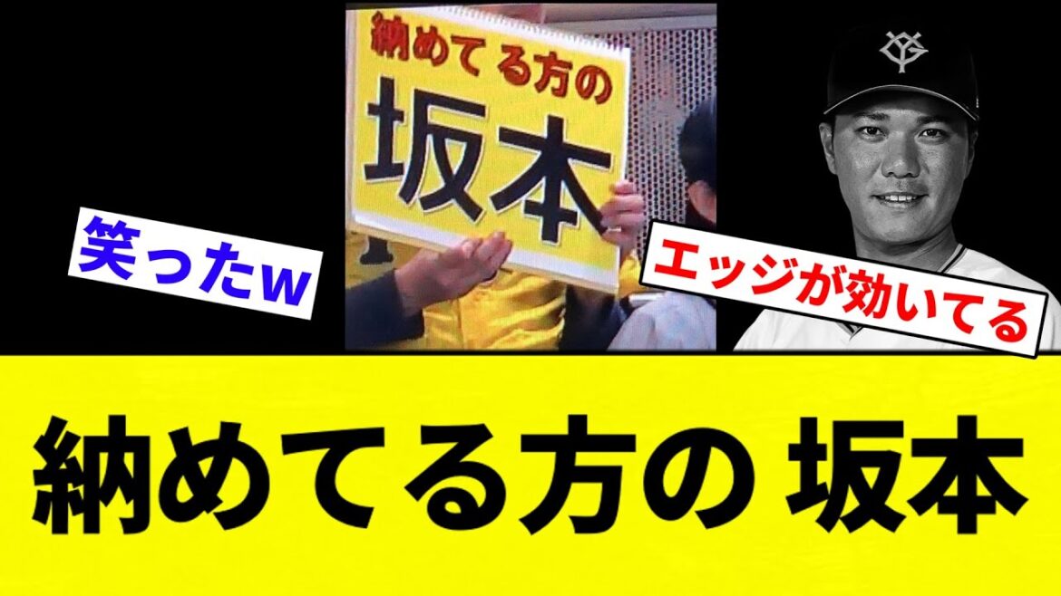 【穴には納めてる】納めてる方の 坂本【プロ野球反応集】【2chスレ】【なんG】