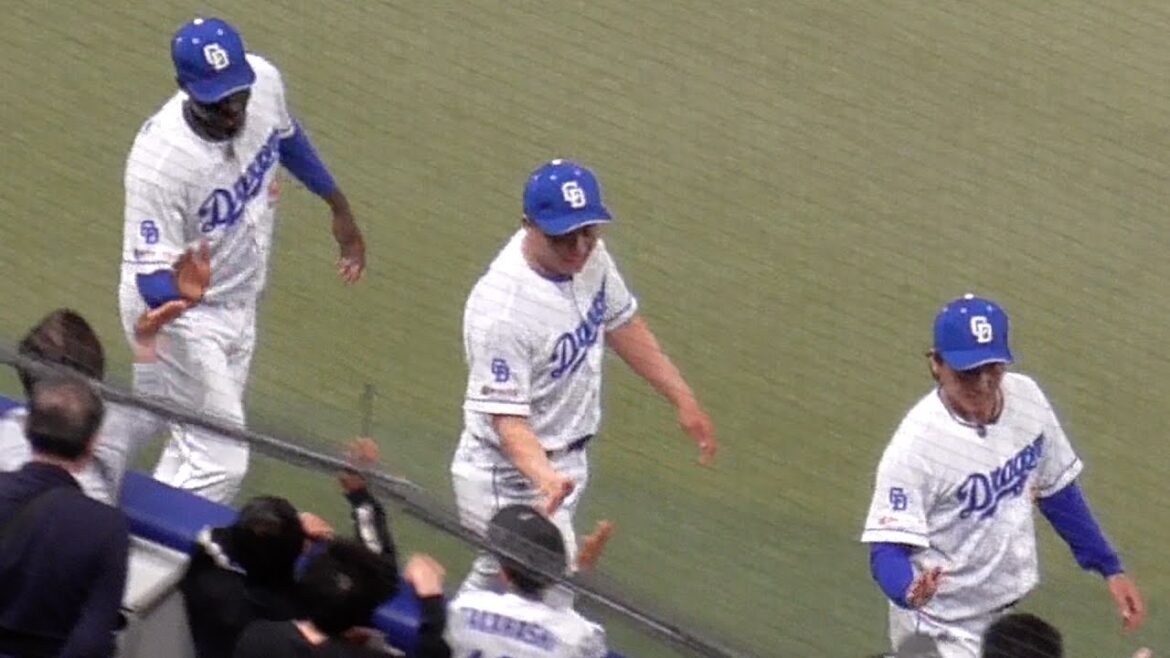 今日のヒーロー 三浦瑞樹  近藤廉  マルテがファンの声援に応えドーム一周　全員が初ヒーローで勝手が分からず早々にボールを全て投げてしまう　中日ドラゴンズVS阪神タイガース　2025/05/01