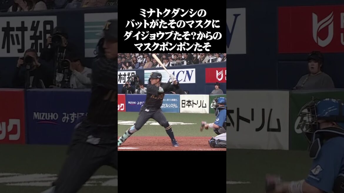 ミナトクダンシがマスクポンポンからのダイジョウブたそ？ #shorts