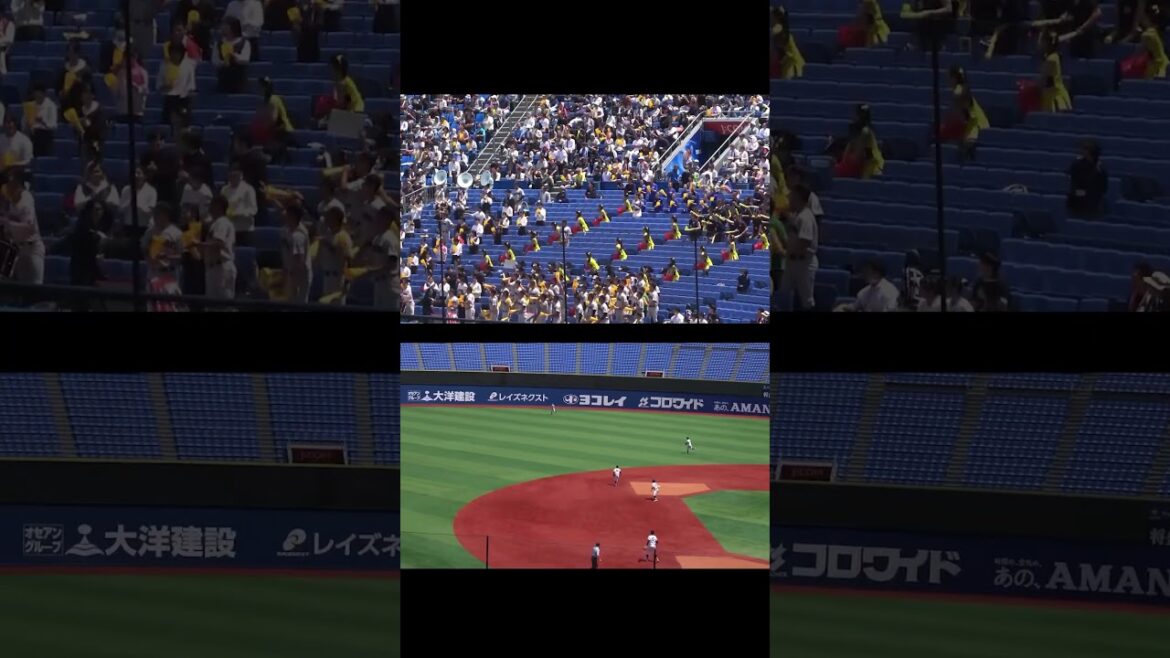 横浜高校　伊藤大和（中本牧シニア）4番起用に応える同点2ラン！　#高校野球 #横浜高校 #野球 #横浜スタジアム #横浜denaベイスターズ #ホームラン