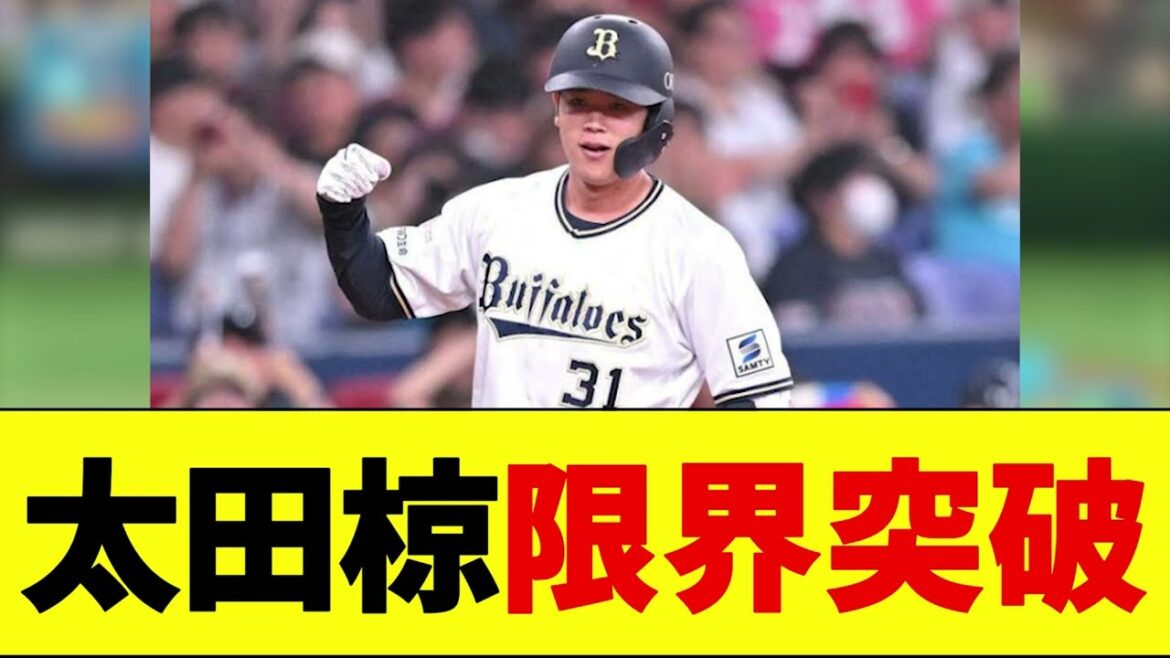 【朗報】オリックス太田椋（24）、気づいたらとんでもない成績になるwwwww