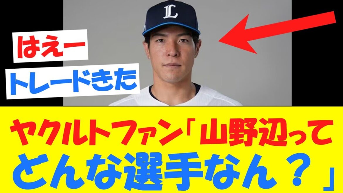 【トレード】西武ファンによる山野辺の取説がこちら wwww 【トレード】西武ファンによる山野辺の取説がこちら wwww