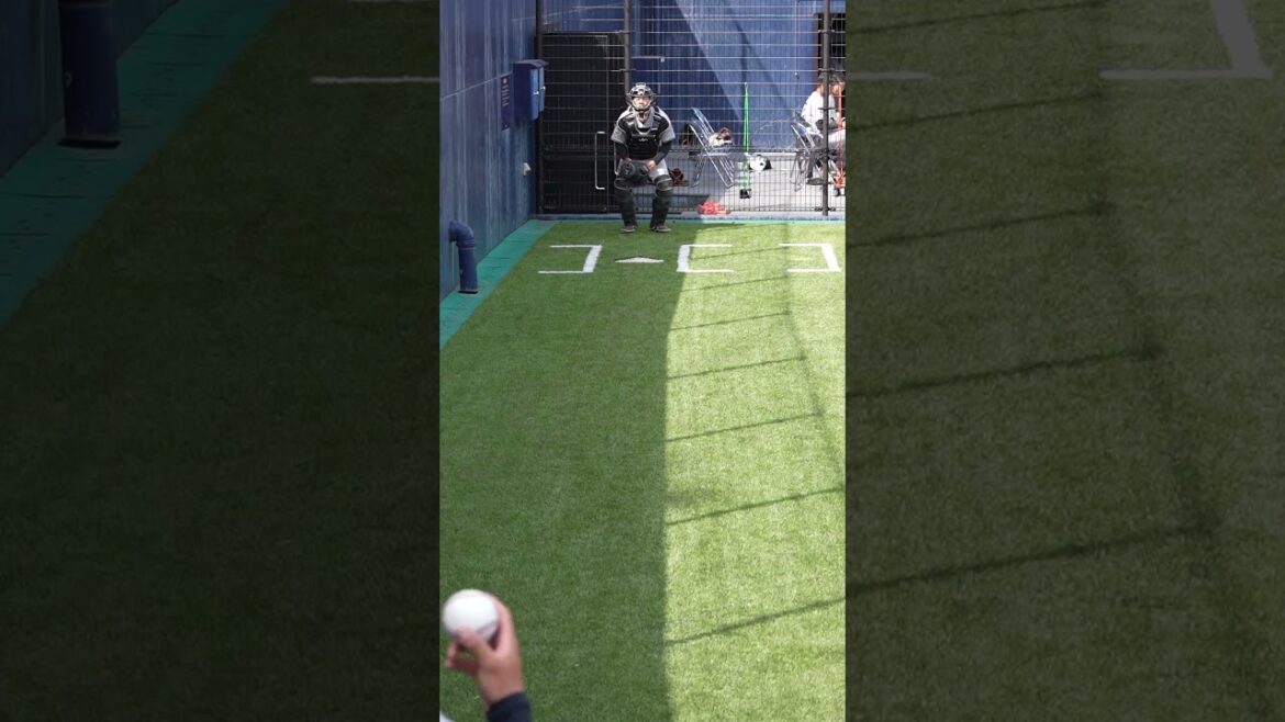 【巨人】159km/右腕のブルペン投球 #shorts #baseball #sports #ジャイアンツ #巨人 #プロ野球