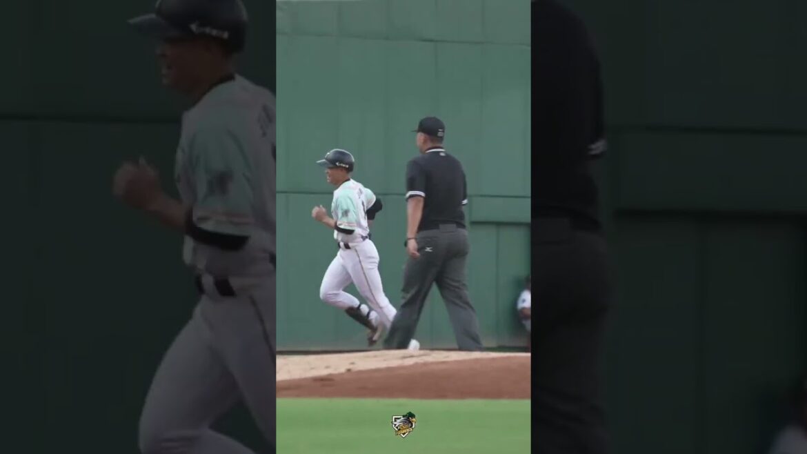 【5/4例行賽】原鷹重現：#王柏融 本季首轟