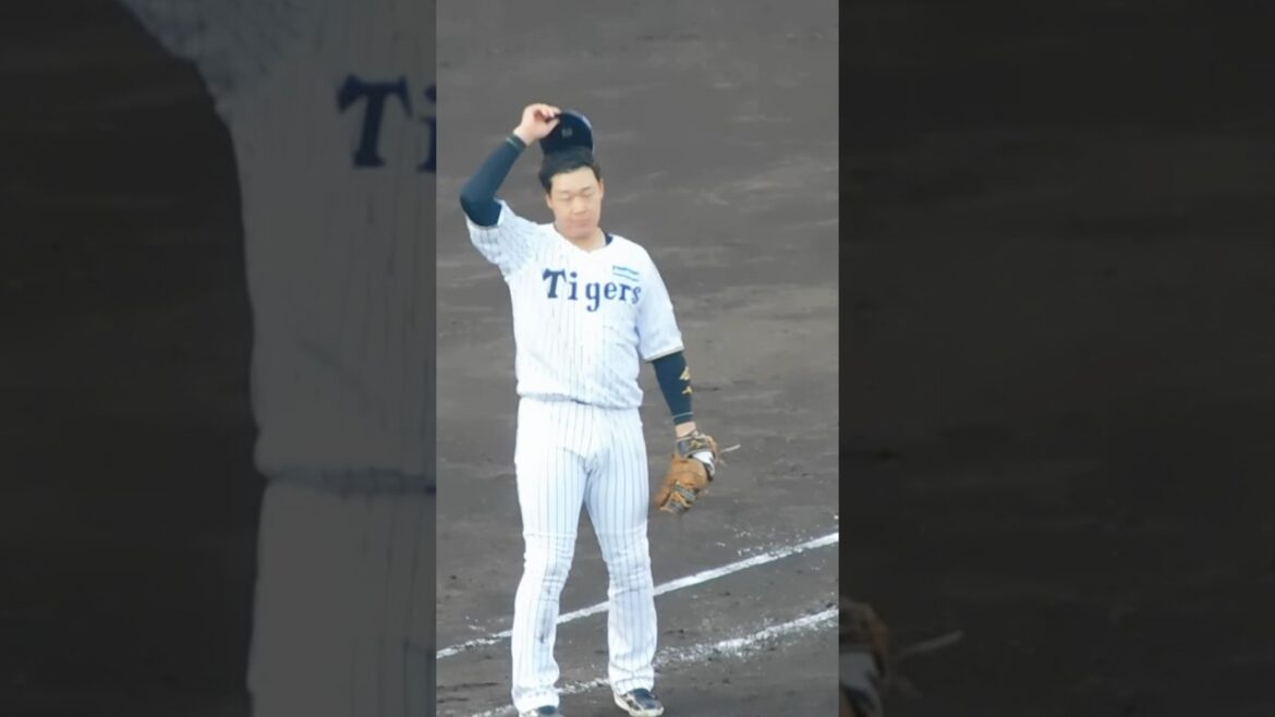 8回に4得点 ファンの歓声に応える大山悠輔 坂本誠志郎 小幡竜平