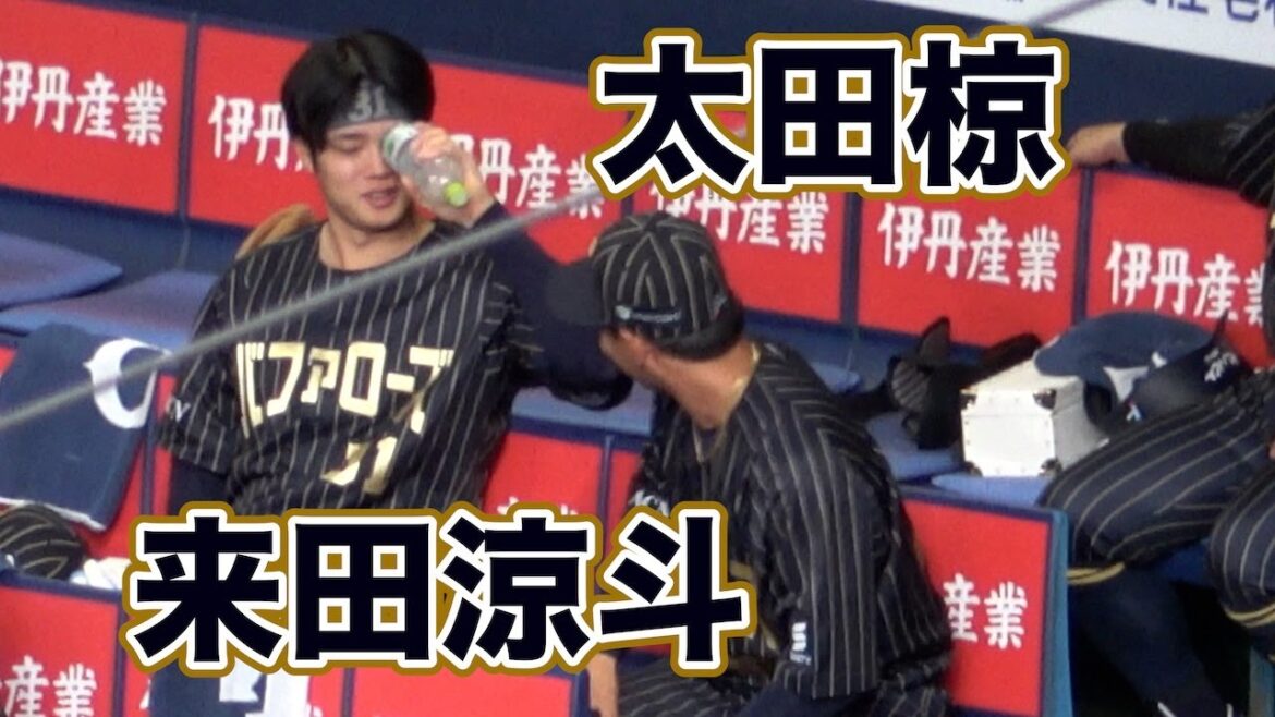 来田「目の周り冷やすと選球眼よくなりますよ」太田「こう？」