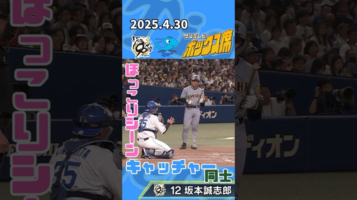 【坂本が心配していました】お互いにキャッチャー #サンテレビボックス席