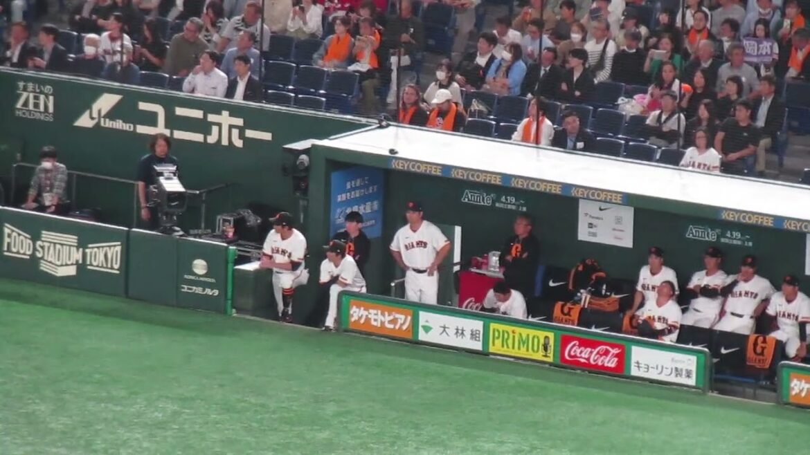 初回 岡本和真の打席を見る大城卓三や増田陸など巨人ベンチの選手たち＜読売ジャイアンツ 対 広島カープ 2025年4月30日＞