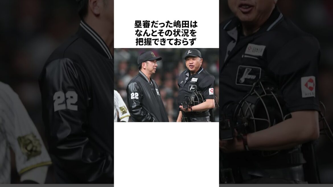 嶋田球審が一番ヤバいと言われる理由 #野球 #雑学 #野球雑学 #shorts 嶋田球審が一番ヤバいと言われる理由 #野球 #雑学 #野球雑学 #shorts