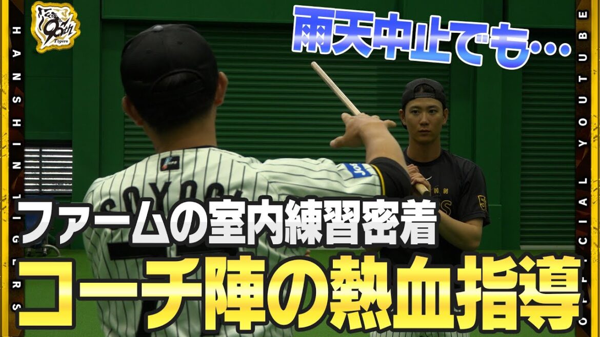 【広報カメラ】残念ながら雨天中止となった #ゼロカーボンベースボールパーク でのファーム公式戦！それでも室内練習場で汗を流した選手たちを追いました！