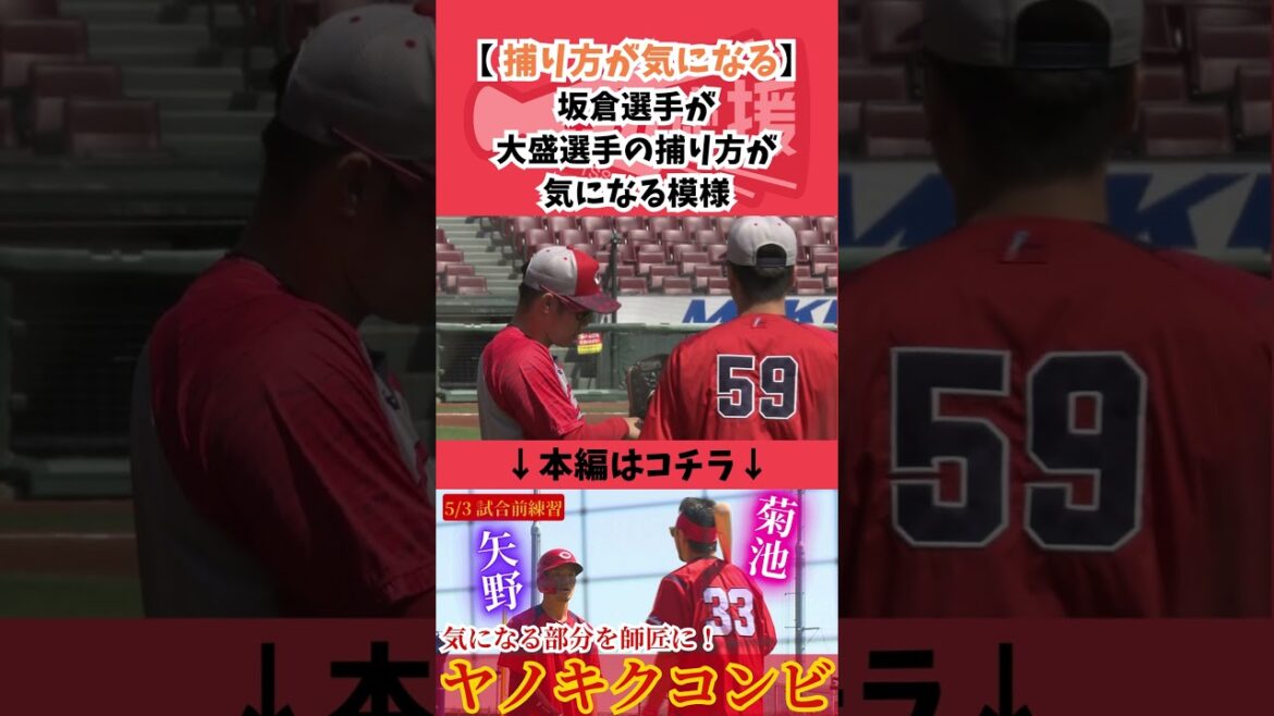 【 捕り方が気になる】大盛選手の捕り方が気になる坂倉選手! #プロ野球 #広島東洋カープ #野球 #坂倉将吾 #大盛穂 【 捕り方が気になる】大盛選手の捕り方が気になる坂倉選手! #プロ野球 #広島東洋カープ #野球 #坂倉将吾 #大盛穂