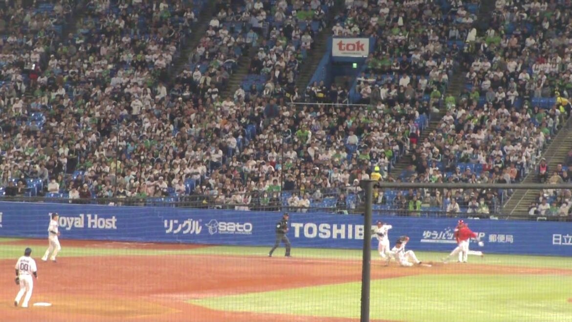 ヤクルト オスナ ナイスプレー　ヤクルト vs 広島　2025年5月5日(月) 神宮球場
