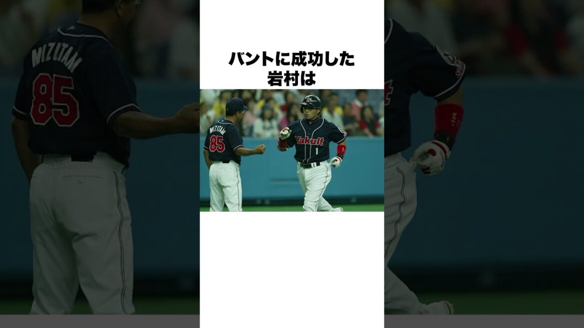 「古田監督のバント指示にブチギレ」岩村明憲についての雑学 #野球 #野球雑学#東京ヤクルトスワローズ 「古田監督のバント指示にブチギレ」岩村明憲についての雑学 #野球 #野球雑学#東京ヤクルトスワローズ