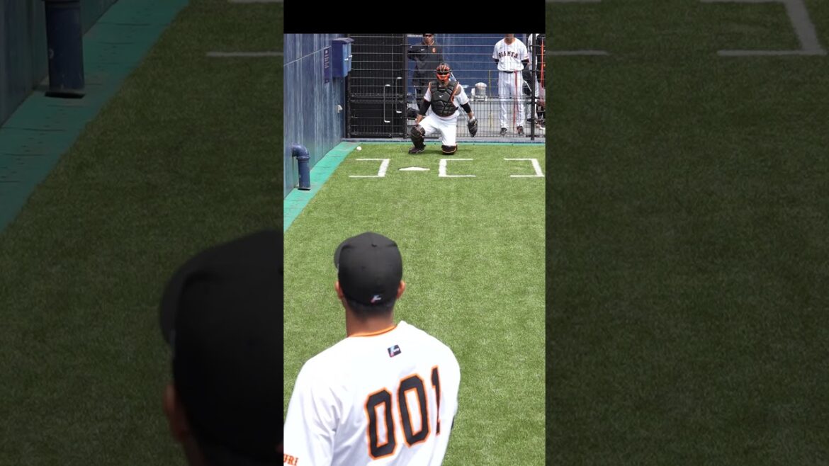 【巨人】最速156km/を計測、菊地大稀選手の投球 #shorts #baseball #sports #ジャイアンツ #巨人 #プロ野球 【巨人】最速156km/を計測、菊地大稀選手の投球 #shorts #baseball #sports #ジャイアンツ #巨人 #プロ野球