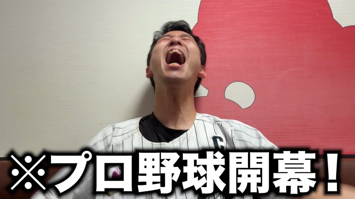 ようやく2025年の千葉ロッテマリーンズが開幕しました。 ようやく2025年の千葉ロッテマリーンズが開幕しました。
