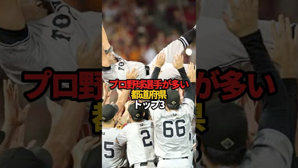 プロ野球選手が多い都道府県 トップ3#sports #shorts #プロ野球 #野球 #やきゅスト