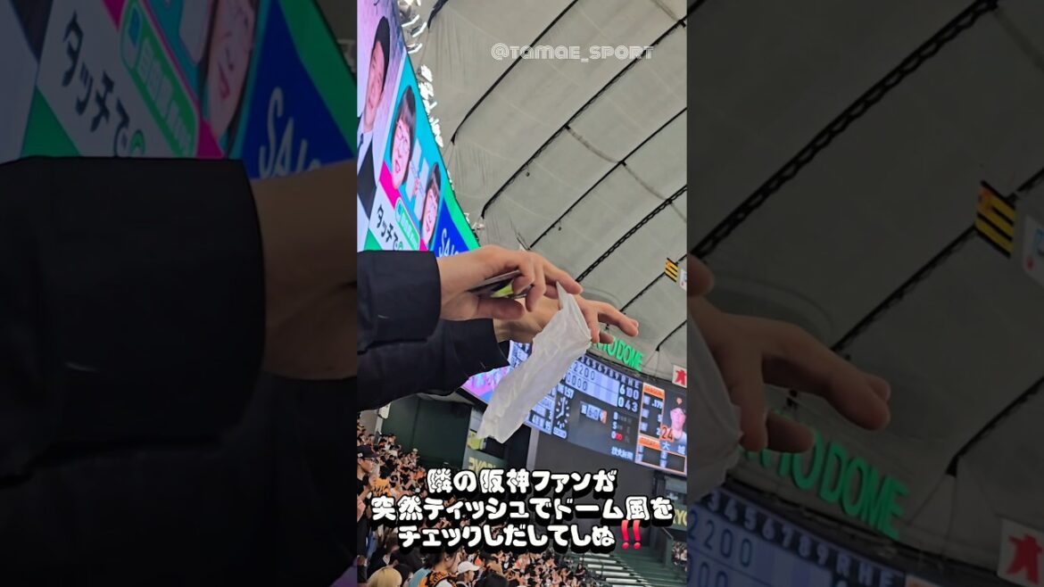 隣の阪神ファンが突然ティッシュでドーム風をチェックしだして草