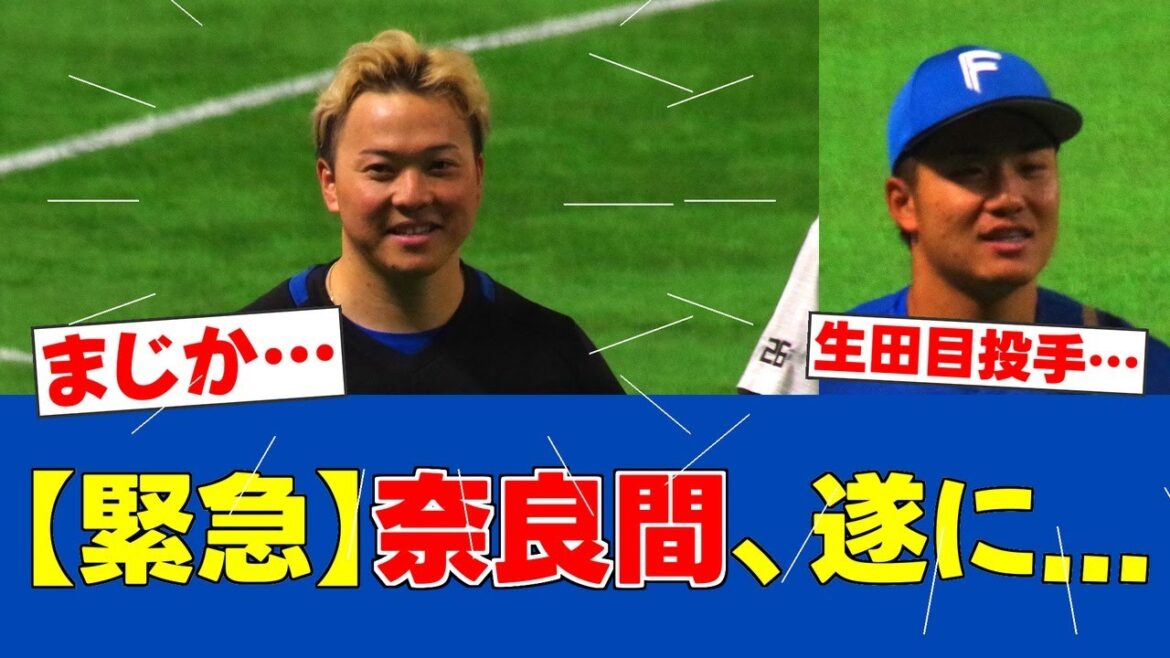 【緊急事態】生田目、延長12回にアクシデント発生で負傷降板…新庄監督の指示で奈良間が投球練習!?【日ハムファンの反応】【F速報】