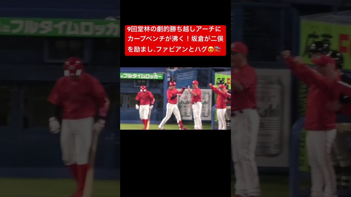 土壇場9回、堂林翔太の値千金勝ち越しホームランに坂倉将吾がハッスルパフォ！広島東洋カープvs東京ヤクルトスワローズ#shorts 2025年5月7日