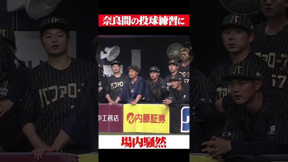 「奈良間の投球練習」に場内騒然… #shorts