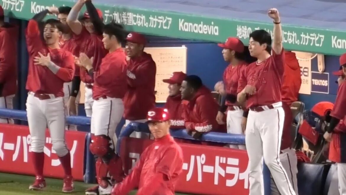 2回、中村奨成&絶好調ファビアンのタイムリーで盛り上がるカープベンチ！広島東洋カープvs東京ヤクルトスワローズ 2025年5月7日