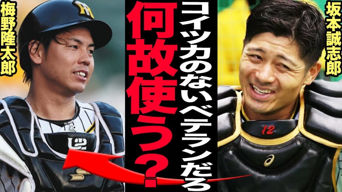 梅野隆太郎を使い続ける藤川監督の不可解采配にファン大激怒！「力のないベテランはいらない」という発言を自ら破り続ける真相に絶句…梅野を起用しなければいけない裏事情に驚きを隠せない！【プロ野球】