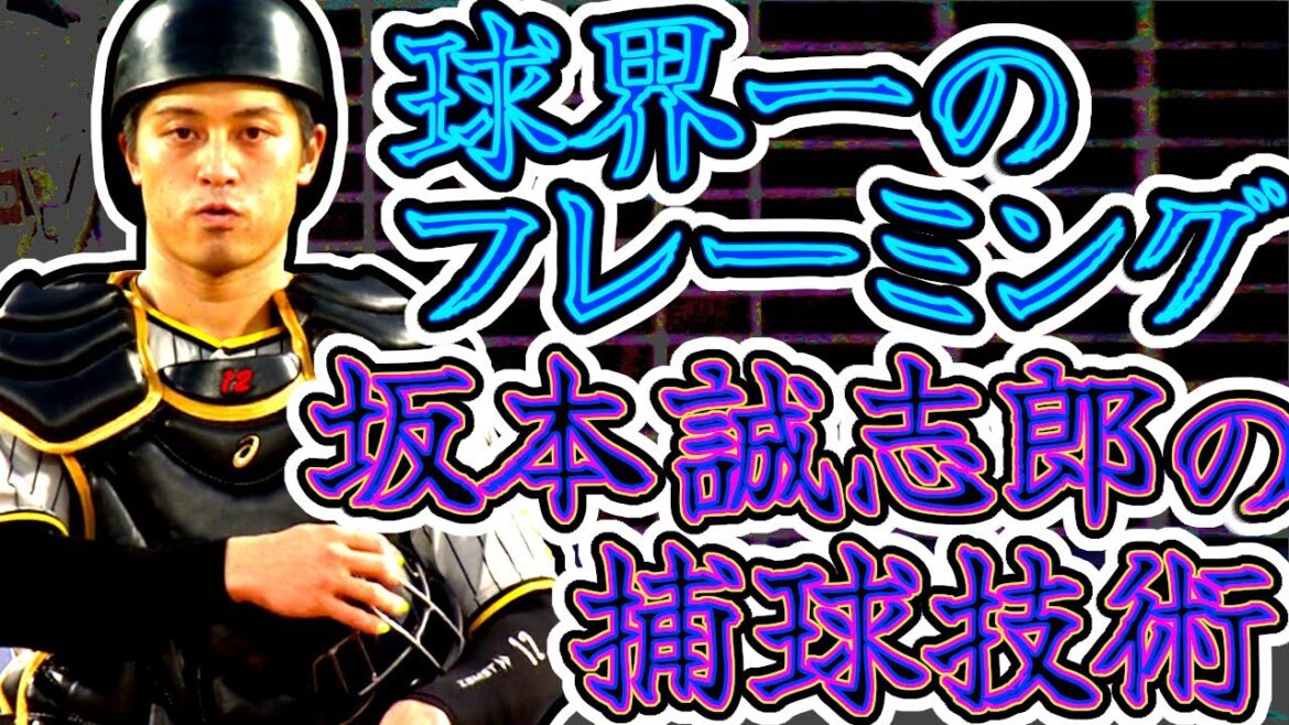 坂本誠志郎 球界一のフレーミング・捕球技術 虎の冷静沈着な理論派捕手 (Seishiro Sakamoto)