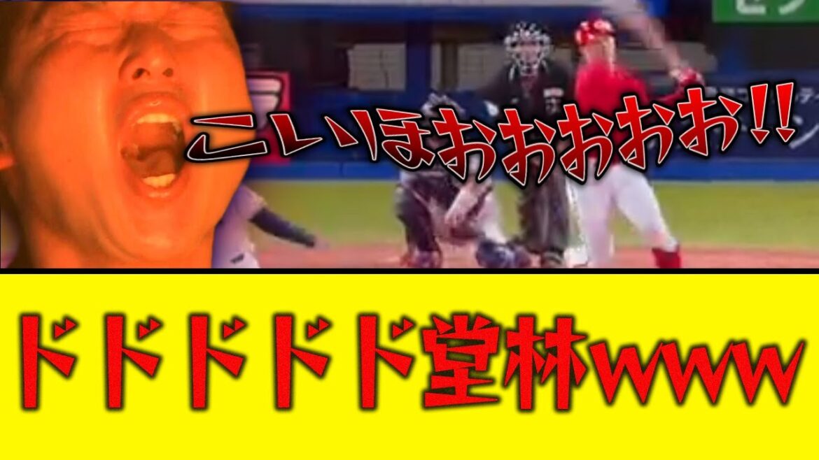 【広島】どどどどどど堂林wwwwwwwwwww 【広島】どどどどどど堂林wwwwwwwwwww