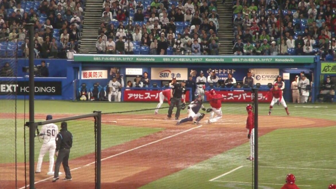 広島 菊池涼介 タイムリーヒット　岩田幸宏バックホームでナイスプレー　ヤクルト vs 広島　2025年5月5日(月) 神宮球場