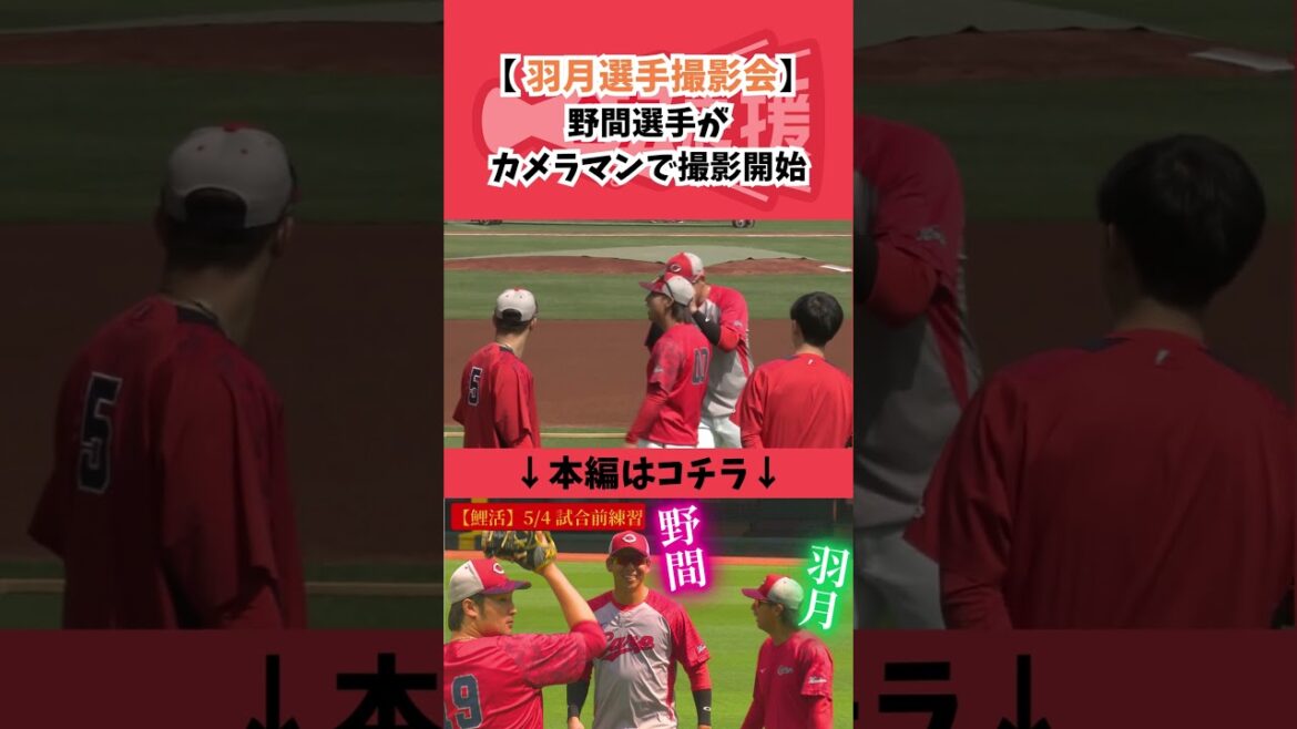 【鯉活】羽月選手を野間選手が撮影🤣ほっこり #カープ #プロ野球 #広島 #野間峻祥 #羽月隆太郎 【鯉活】羽月選手を野間選手が撮影🤣ほっこり #カープ #プロ野球 #広島 #野間峻祥 #羽月隆太郎