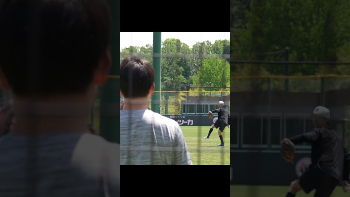 【巨人】山﨑伊織選手のキャッチボール #shorts #baseball #sports #ジャイアンツ #巨人 #プロ野球