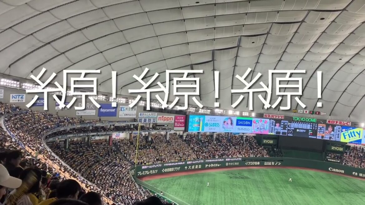 2025/5/7 阪神　糸原健斗　応援歌