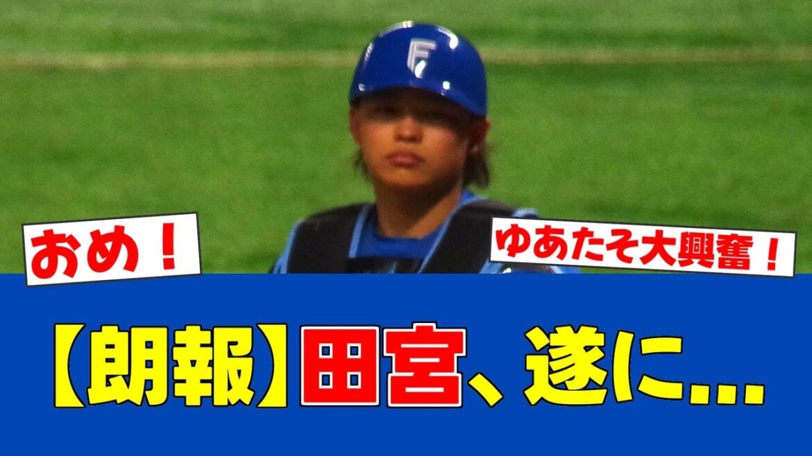 【朗報】中島健人が田宮ファン公言!エスコンで初始球式【日ハムファンの反応】【F速報】 【朗報】中島健人が田宮ファン公言!エスコンで初始球式【日ハムファンの反応】【F速報】