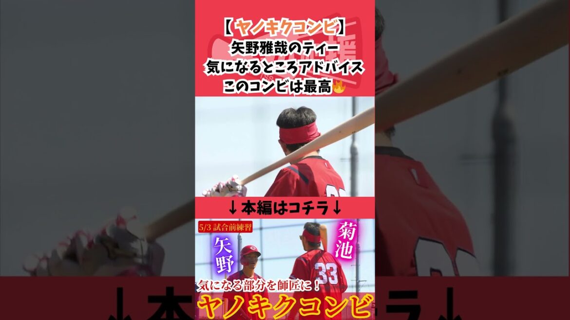 【 ヤノキクコンビ】矢野雅哉の打撃で気になる部分を菊池涼介がアドバイス！このコンビは最高🔥 #プロ野球 #広島東洋カープ #野球 #菊池涼介 #矢野雅哉