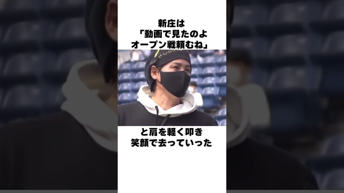 「3番打者が将来の夢」山崎福也と新庄剛志についての雑学#野球 #野球雑学#日本ハムファイターズ