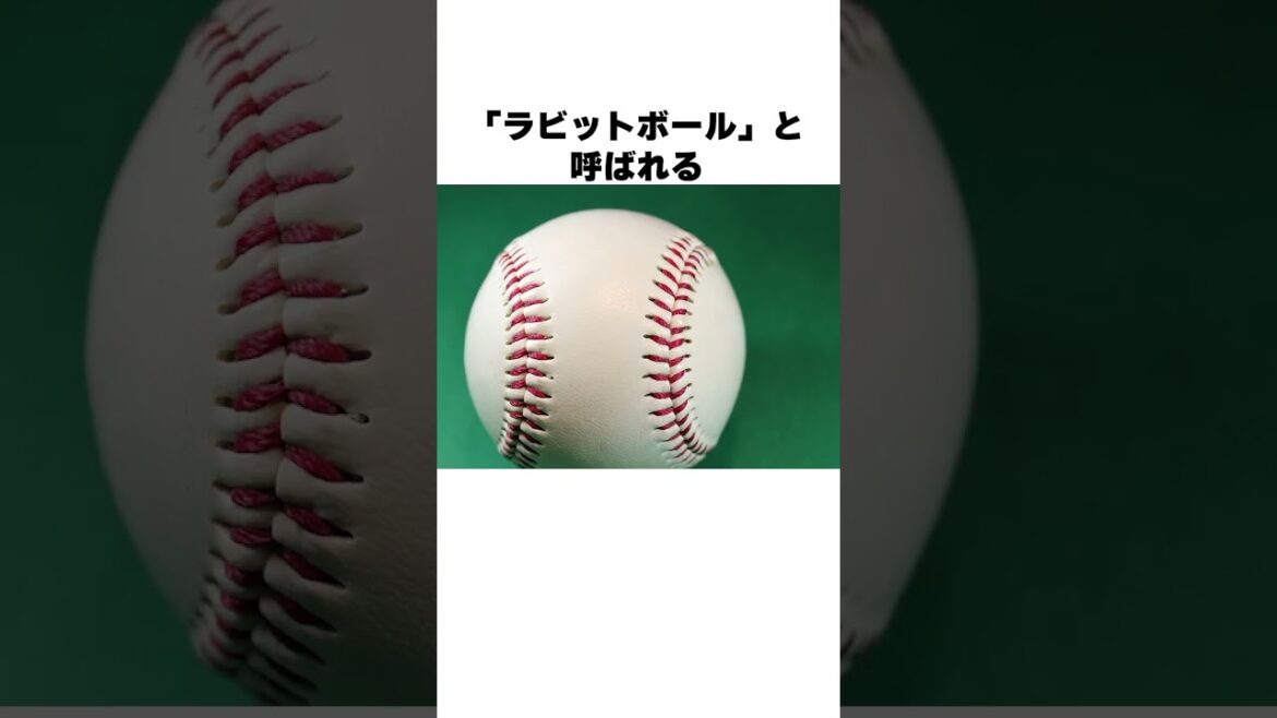「まるで別のスポーツ」野球で禁止された道具についての雑学#野球 #野球雑学#甲子園