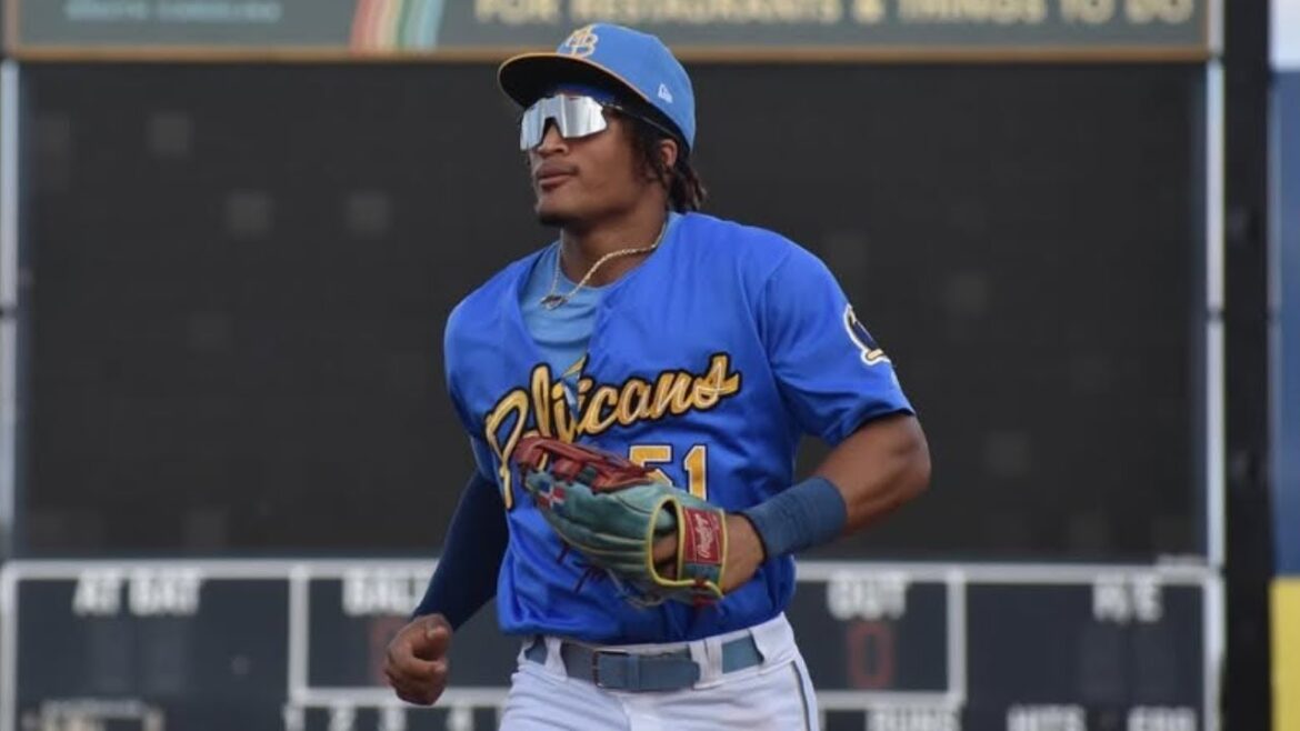 Alfonsin Rosario 2024 Minor League Highlights!